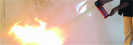 Home Extinguishers cover